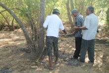 Assessing the diversity of mangroves in the Nayaru Lagoon