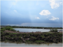 Shrimp pond in Thanh Hai Commune