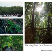 Ranong Biosphere Reserve