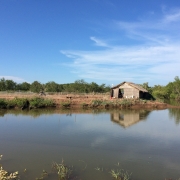 A shrimp farmer's hut stands near a pond in the Mekong Delta along Tra Vinh, Viet Nam. More sustainable shrimp farming is now being promoted to restore mangroves in the province
