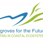 MFF Logo