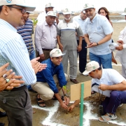 Plantation of mangroves over 500 hectares launched along Korangi Phitti Creek System near Port Qasim, Karachi – IUCN Pakistan