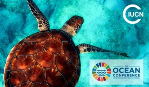 IUCN at the Ocean Conference